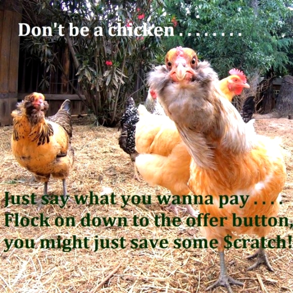 Make an Offer - You Can Do It - Check out my 4 items for $20 SALE too